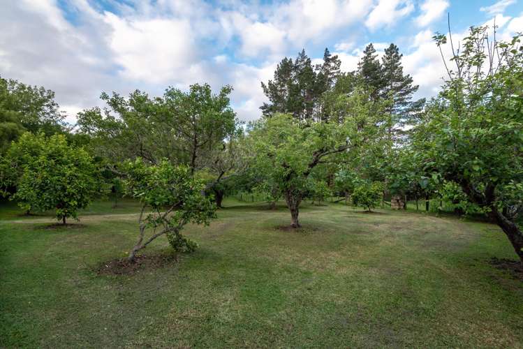 435 Pine Valley Road Dairy Flat_45