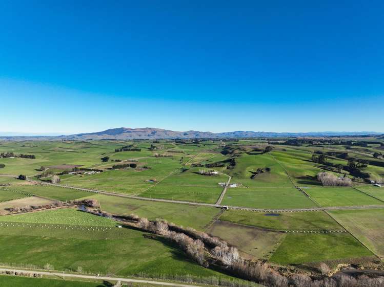 379 Waikaka Road Maitland_11