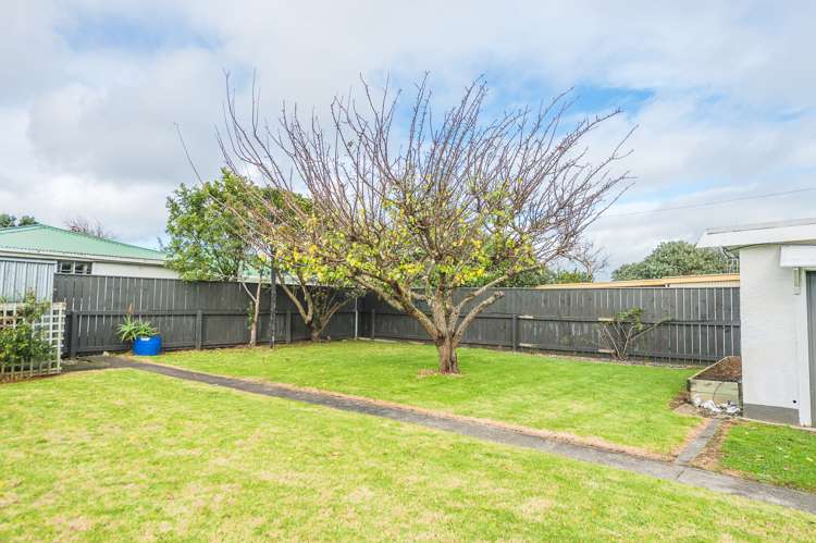 181 Parsons Street Tawhero_23