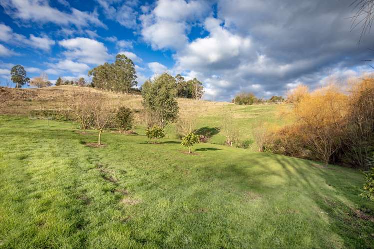210f Mount Herbert Road Waipukurau and Surrounds_4