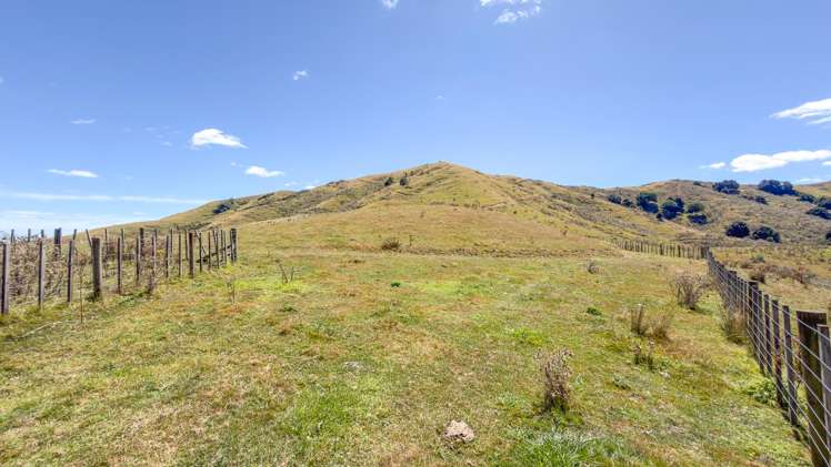 650 Falls Road Maramarua_11