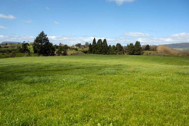 145 Totara Road Ngakuru_7