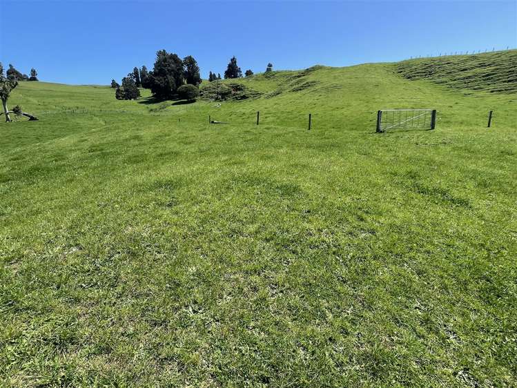 770 Owhiro Road Otorohanga_24