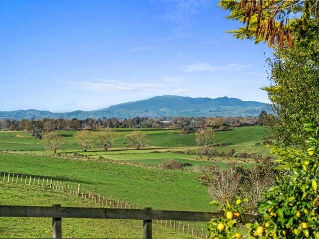 8 Thompson Road Te Awamutu_3