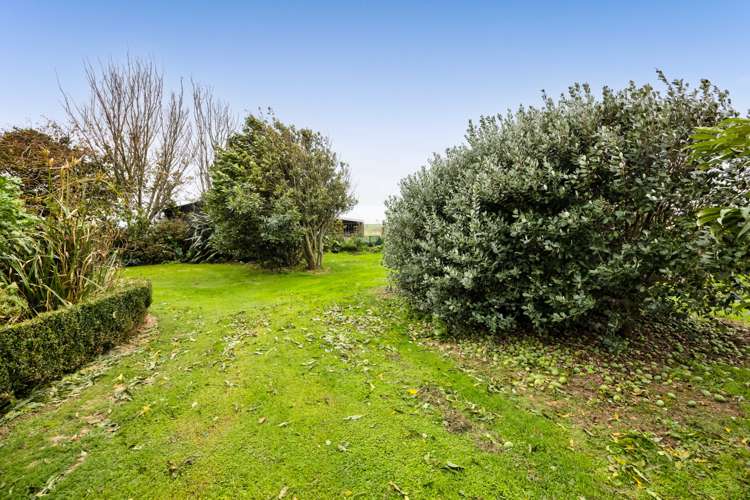 1170 A South Road Manaia_35