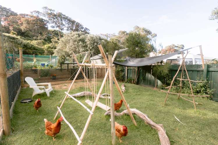 5 Mulberry Grove Road Great Barrier Island_16