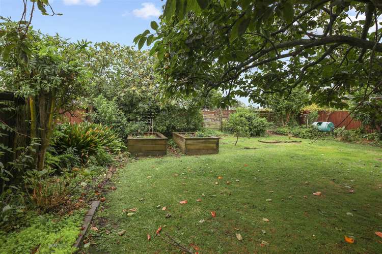 205 Tony Avenue Thames_20