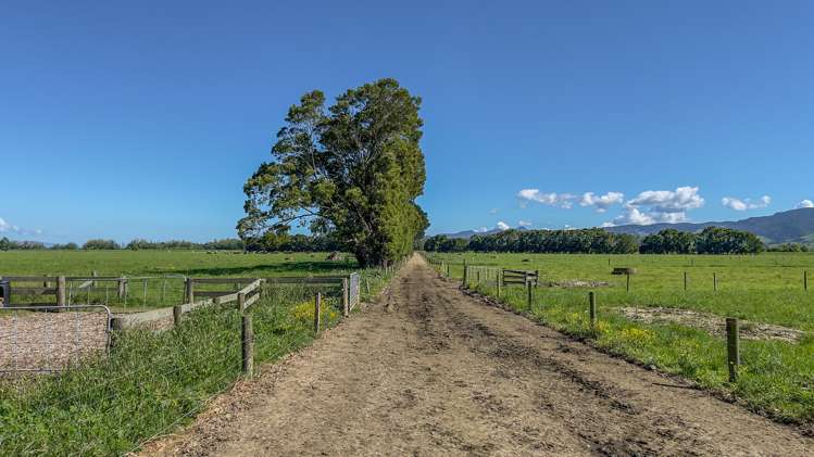 311 Huirau Road Turua_15