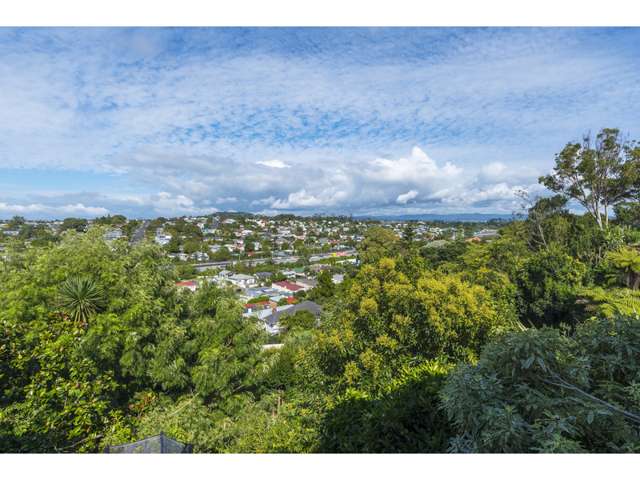 7 Barrington Road Grey Lynn_1