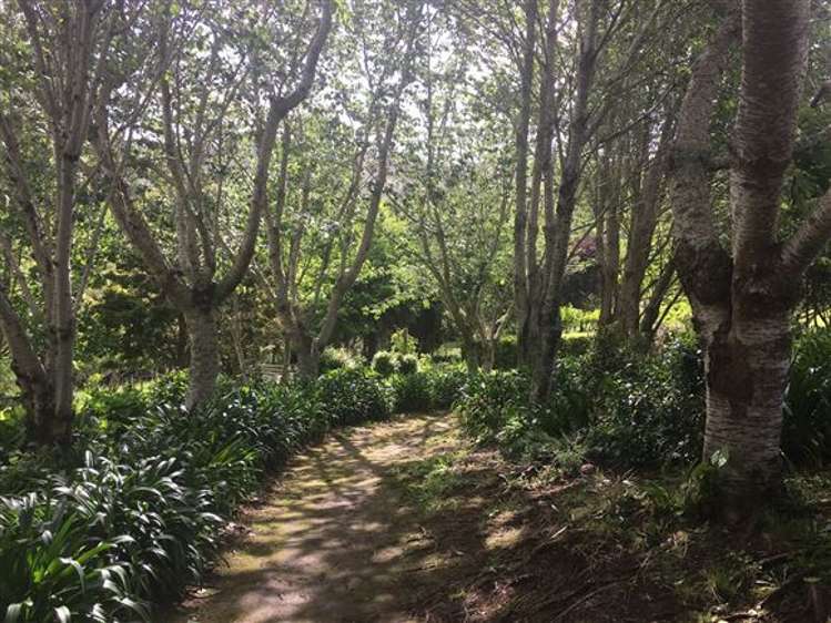 473 Kauaeranga Valley Road Thames_32