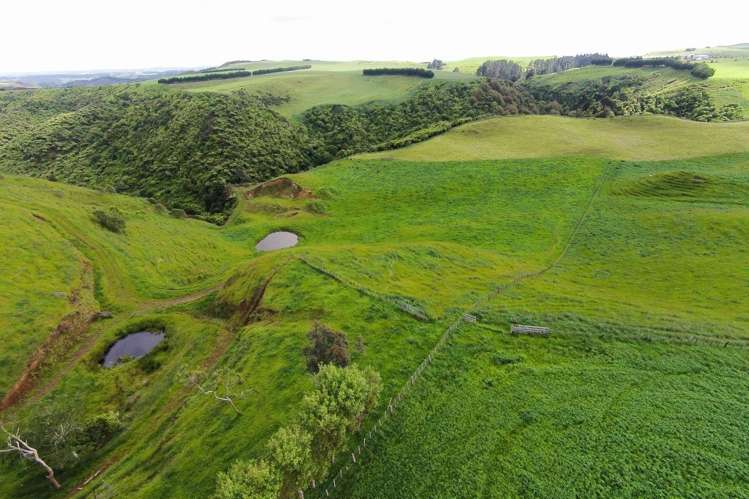 355 Pakaraka Road Waitotara_12