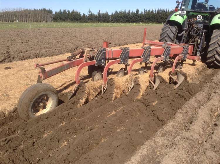 213 Mandeville Road Swannanoa_10