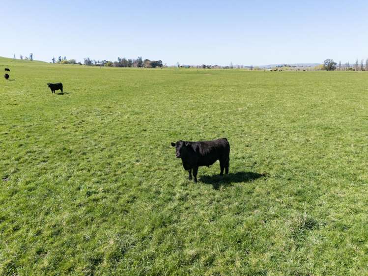 231 Lindsay Road Waipukurau_18