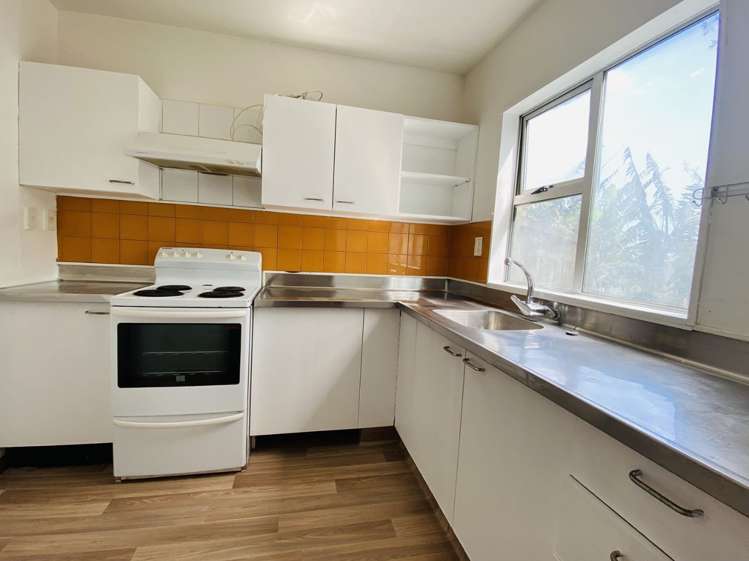 44 Fred Woodward Place Mount Roskill_2