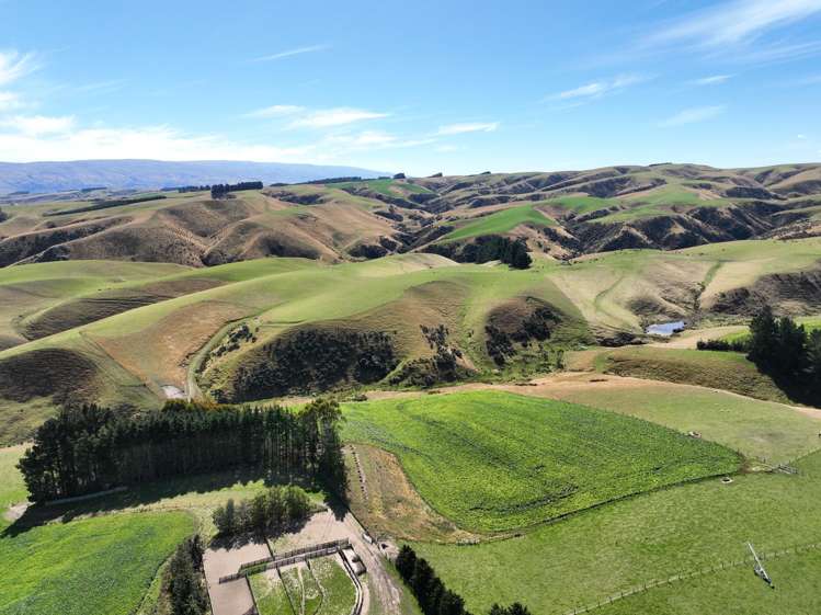 665-901 Tima Burn Road Teviot_17