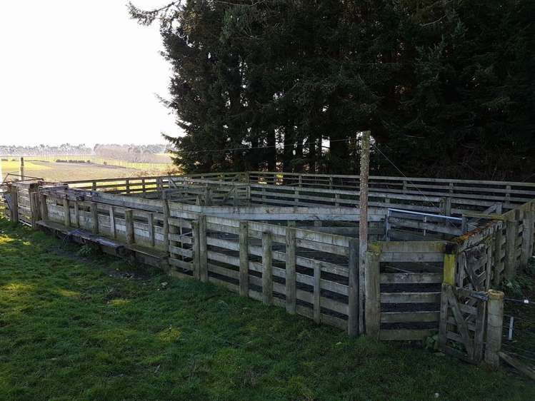 590 Gillespie Road Manapouri_15