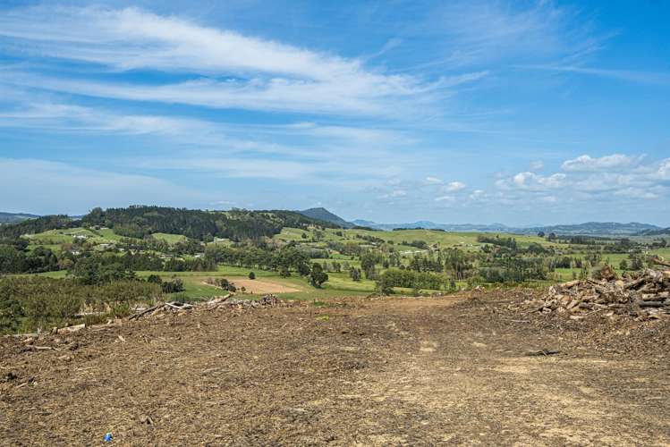 Puhipuhi Road Whakapara_1