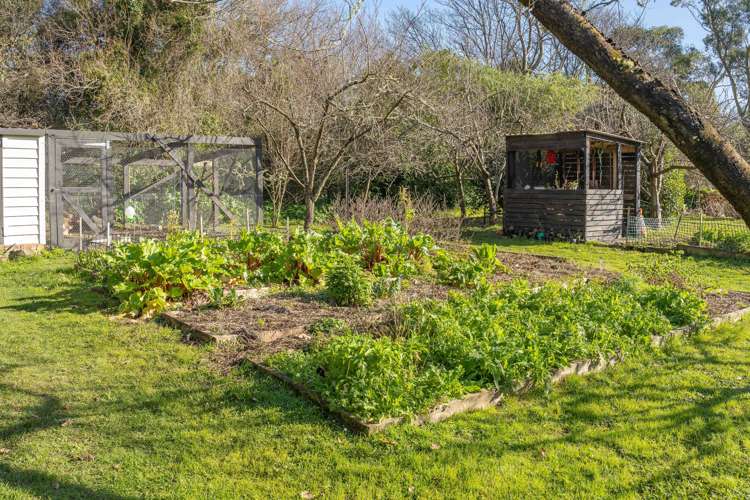 61 Udy Street Greytown_33