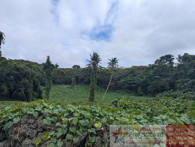 Address withheld Taveuni_4