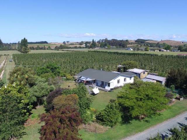62 Edwards Road Lower Moutere_1