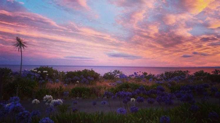 285 Whirinaki Road Eskdale_21