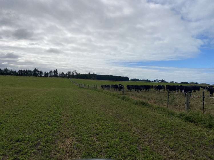 Bristol Road Pareora_4