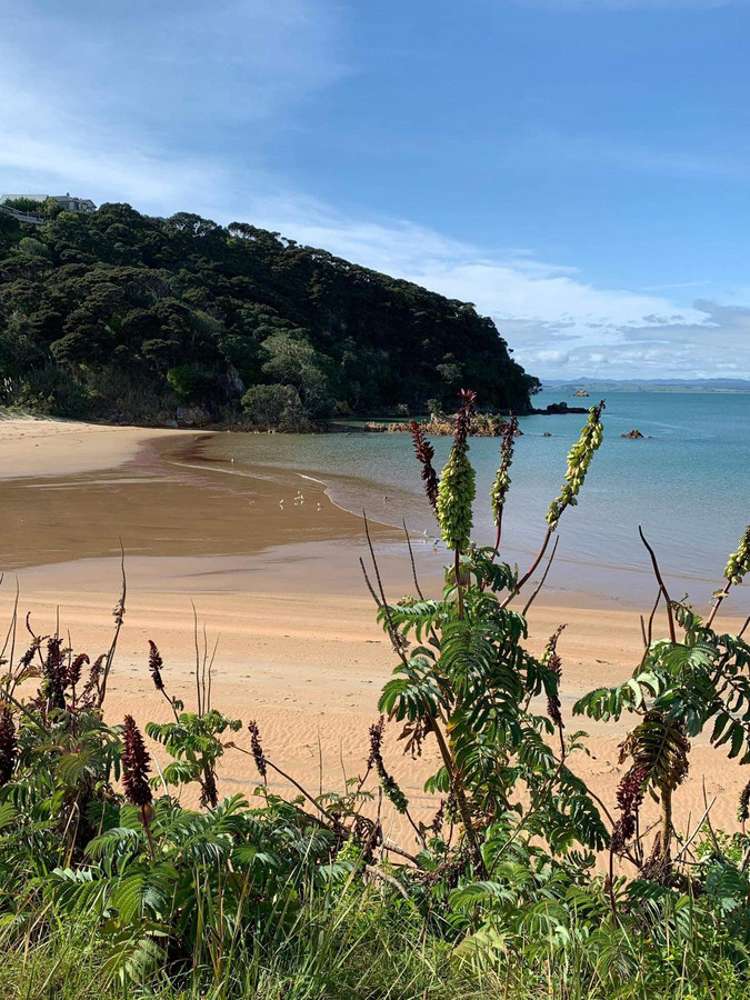 21a Perehipe Road Karikari Peninsula_16