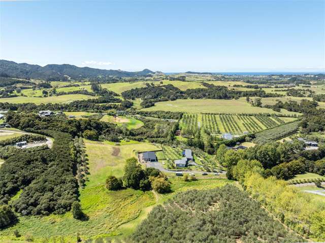 27 Poplar Glade Mangawhai_4