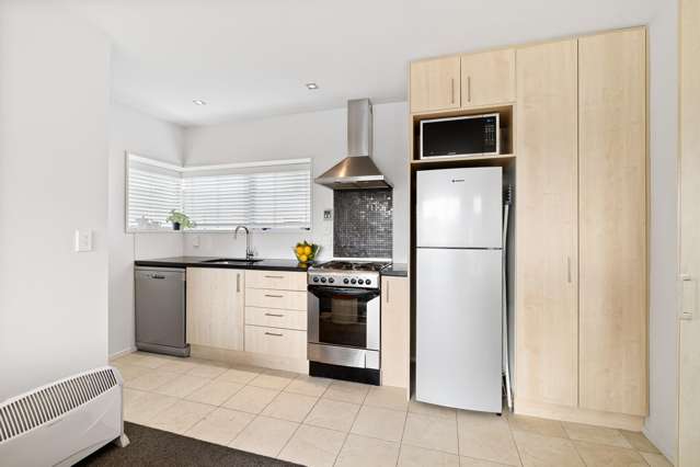 123B Papanui Road Merivale_3