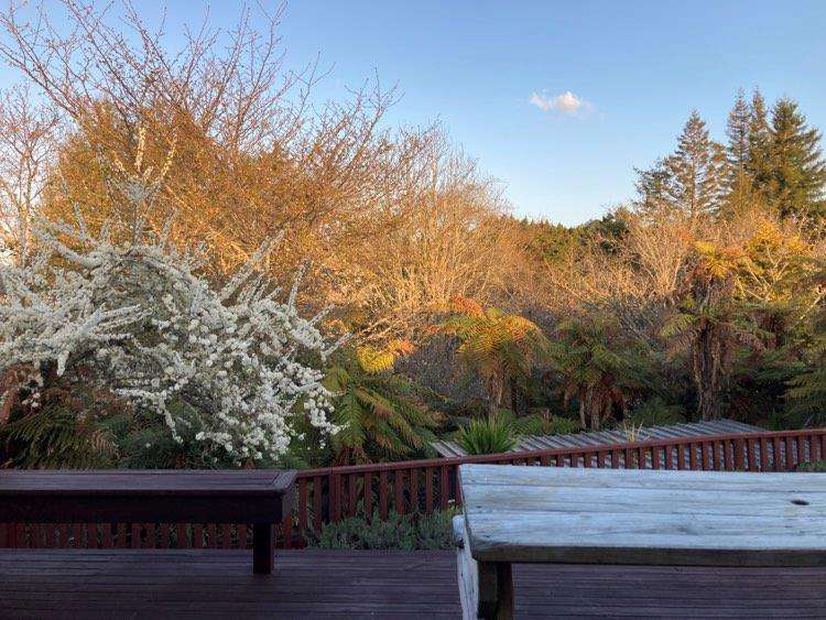 18 Utuhina Road Springfield_6