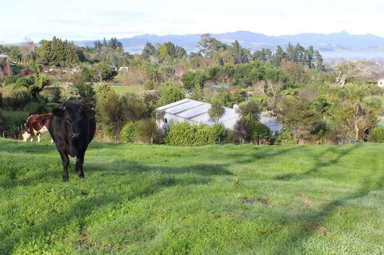 108a Savage Road Waihi_16