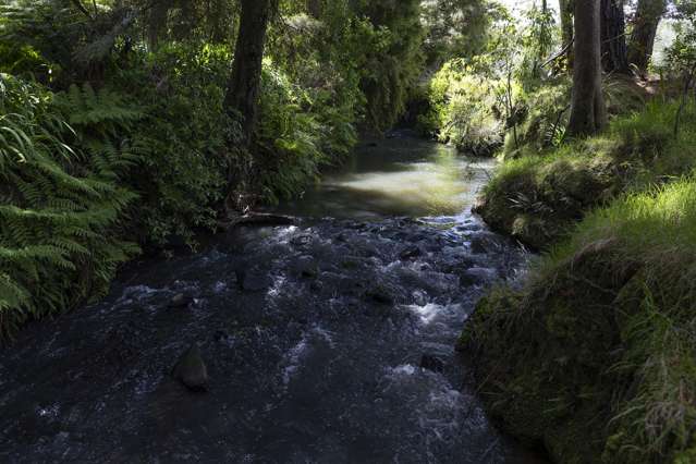 1767B State Highway 10 Mangonui_4