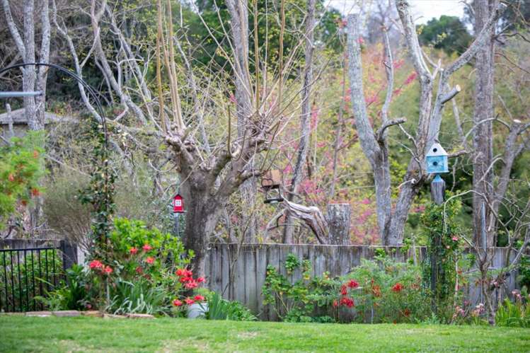 31 Moehau Street Te Puke_27