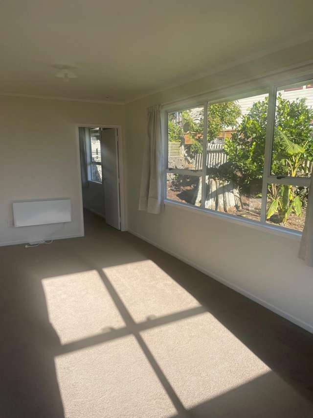 6/41 Willcott Street Mount Albert_2