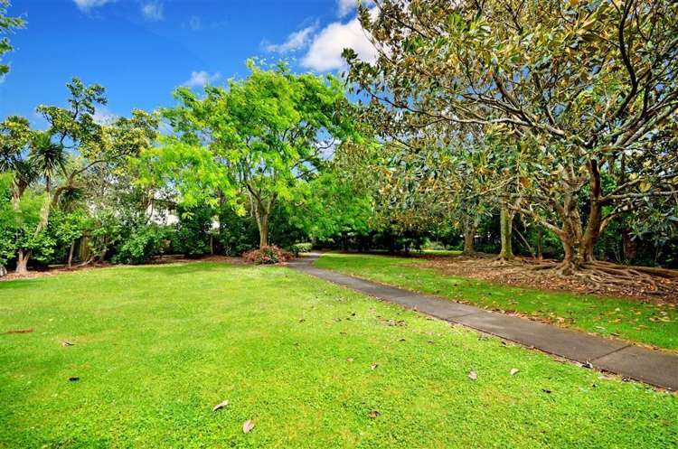 19a Rockfield Road Ellerslie_21