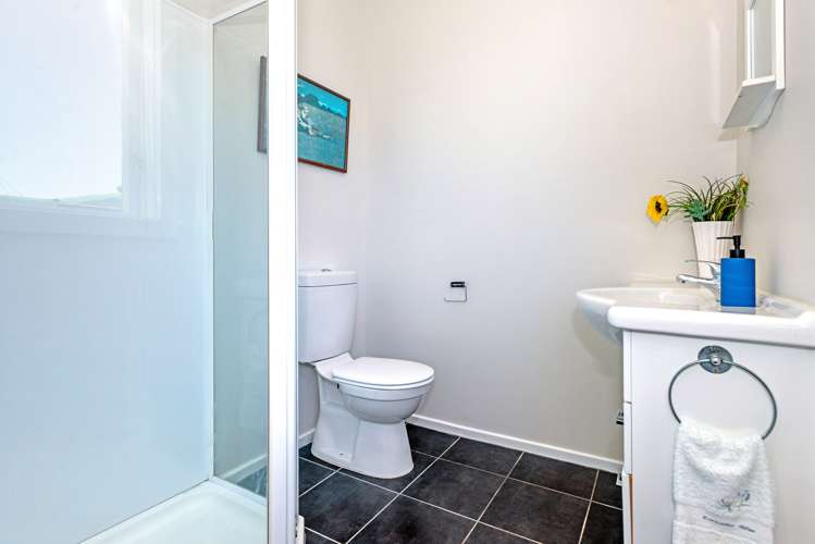 313 Whitaker Street Whataupoko_16