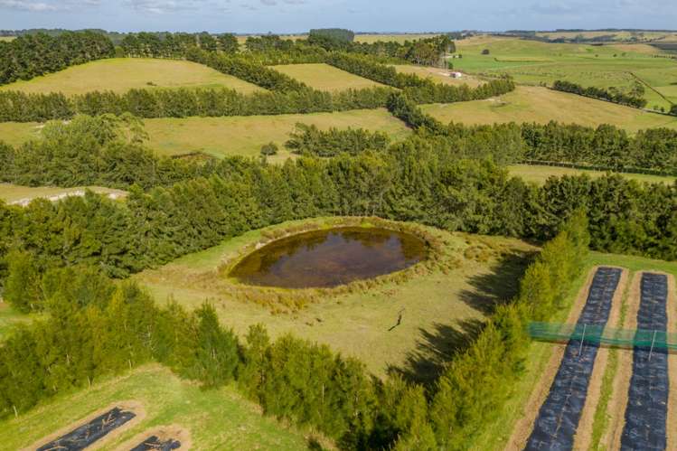 50 Simpson Road Karikari Peninsula_16