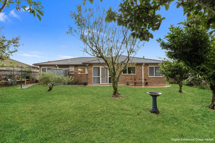 68 Highfields Drive Katikati_14