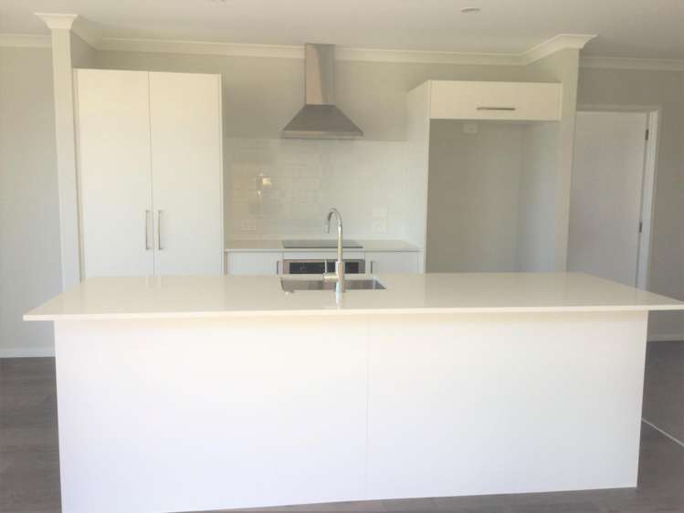 74 Union Drive Papamoa_1