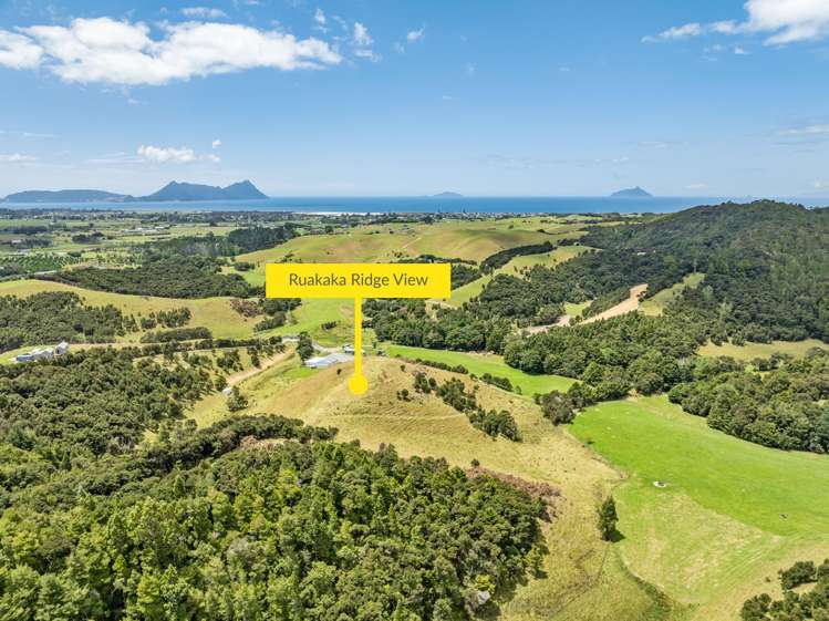 Lot 6 Ruakaka Ridge View_0