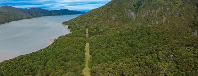 Kenepuru Head Marlborough Sounds_1
