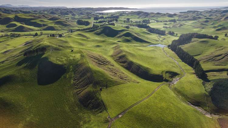 285 Grassmere Road Lake Grassmere_35