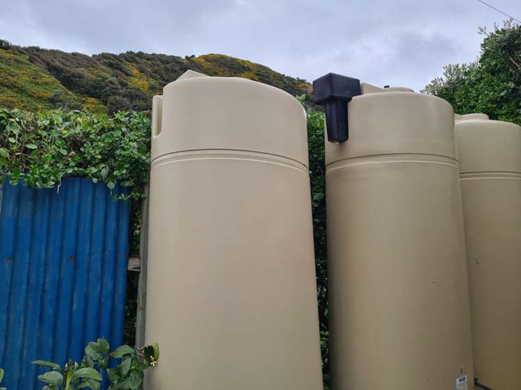 1596 Cape Palliser Road Cape Palliser_14