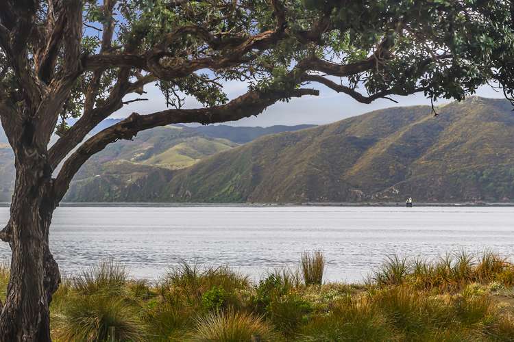 213 Marine Parade Seatoun_15