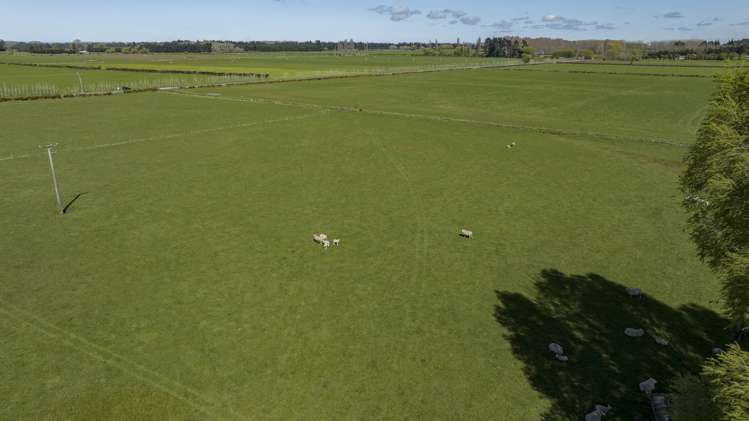 42 Chamberlains Road Springston_5