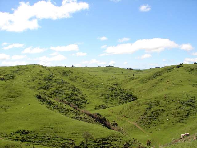 Mahoe Road Waitomo_3