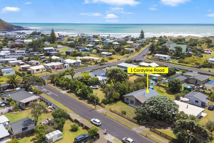 1 Cordyline Road Port Waikato_7