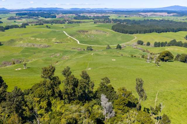 656 Waotu Road South Putāruru_4