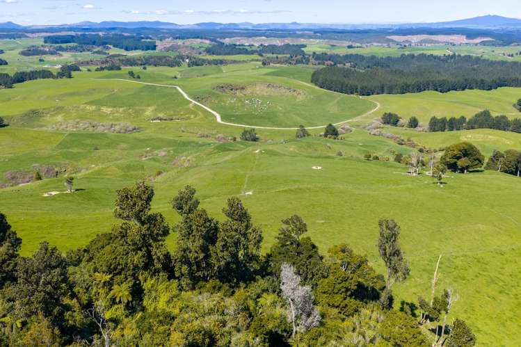 656 Waotu Road South Putāruru_4