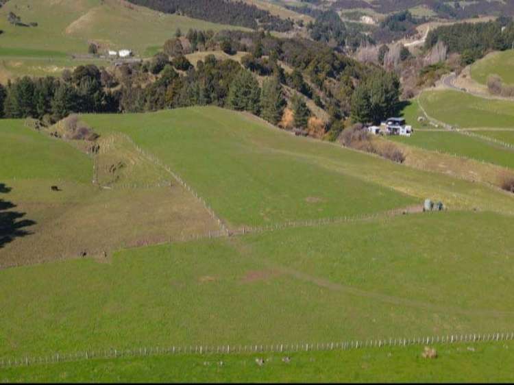 3345A Weber Road Dannevirke_8